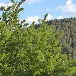 塞文山脉爱高尔酒庄假日公园 3* 梅吕埃