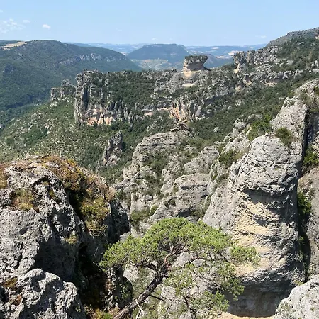 Domaine Aigoual Cevennes Meyrueis