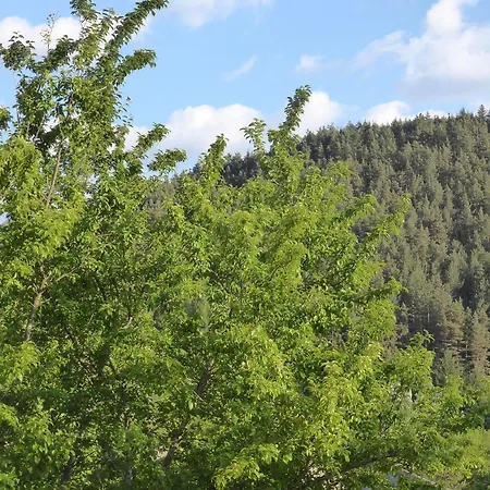 Domaine Aigoual Cevennes 3* Meyrueis
