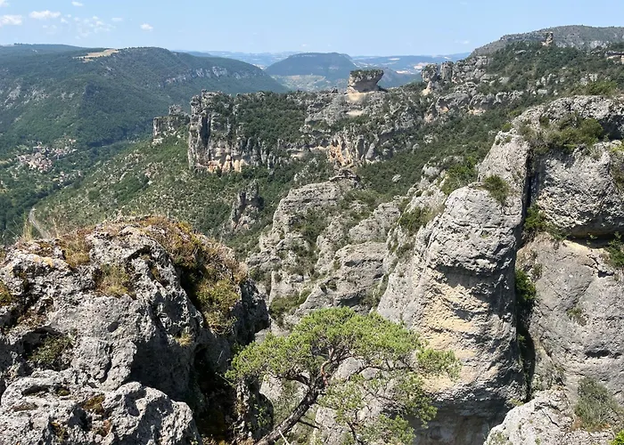 Domaine Aigoual Cevennes Meyrueis