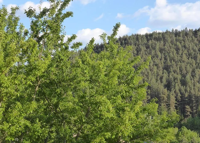 Domaine Aigoual Cevennes 3* Meyrueis